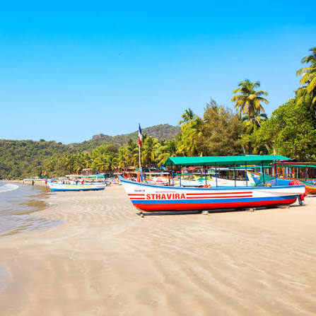 Flights to Goa
